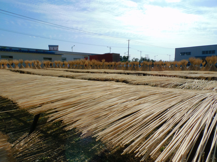 Bamboo Sun drying