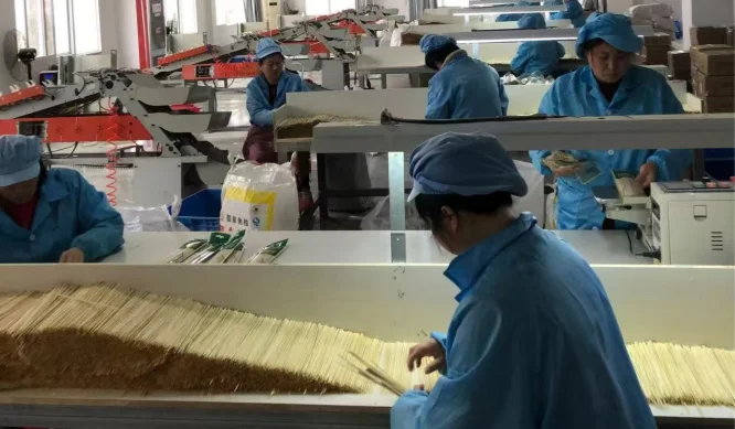 About Hankai Bamboo